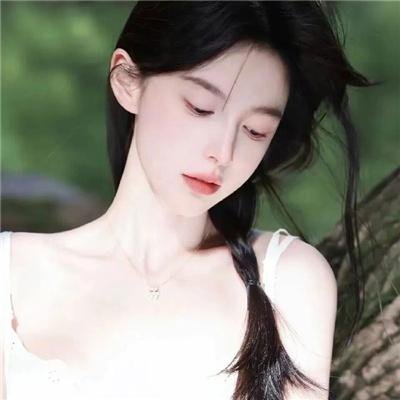 北极征熊记